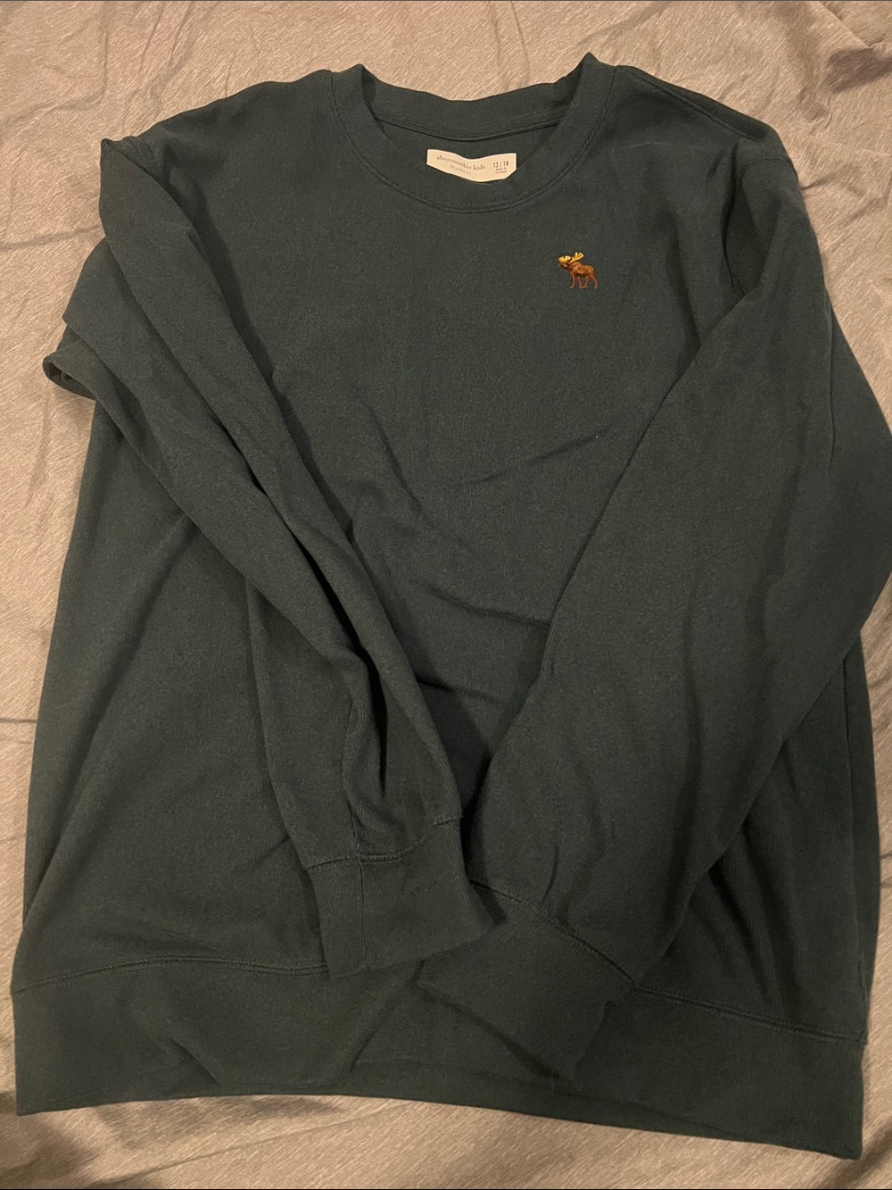 Abercrombie & Fitch boys Dark Green Crewneck Sweater